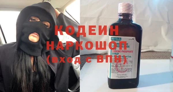 молекула духа Няндома