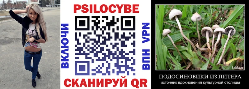 Галлюциногенные грибы Magic Shrooms  Пересвет 